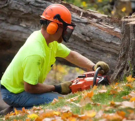 tree services Gnadenhutten